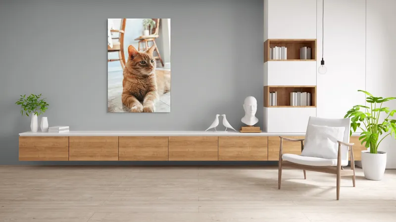 Tablou Canvas, "Pisica relaxată pe podea senină", Pisică, Portocalie, Ochi, Blană, Mobila, Pardoseală, Plante., 100 x 150 cm – poza 8