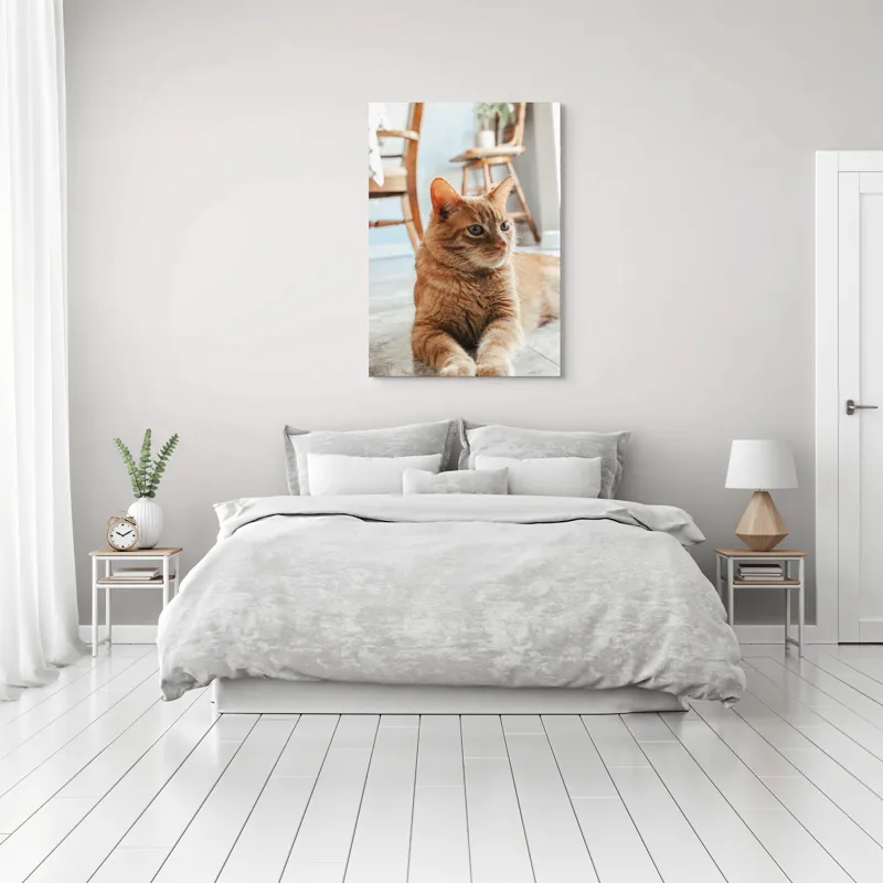 Tablou Canvas, "Pisica relaxată pe podea senină", Pisică, Portocalie, Ochi, Blană, Mobila, Pardoseală, Plante., 70 x 100 cm – poza 3
