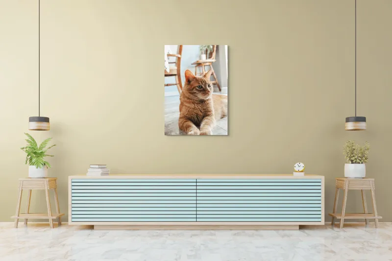 Tablou Canvas, "Pisica relaxată pe podea senină", Pisică, Portocalie, Ochi, Blană, Mobila, Pardoseală, Plante., 70 x 100 cm – poza 5