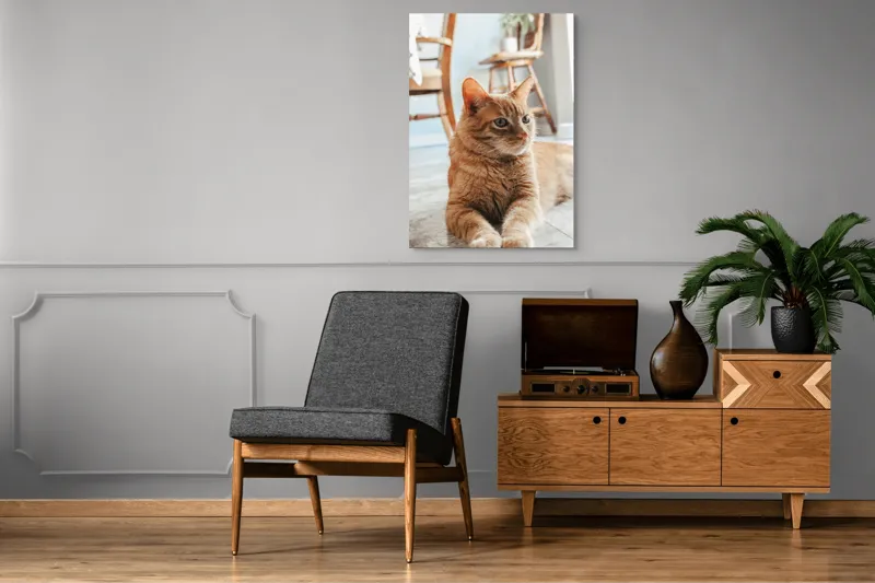 Tablou Canvas, "Pisica relaxată pe podea senină", Pisică, Portocalie, Ochi, Blană, Mobila, Pardoseală, Plante., 70 x 100 cm – poza 6