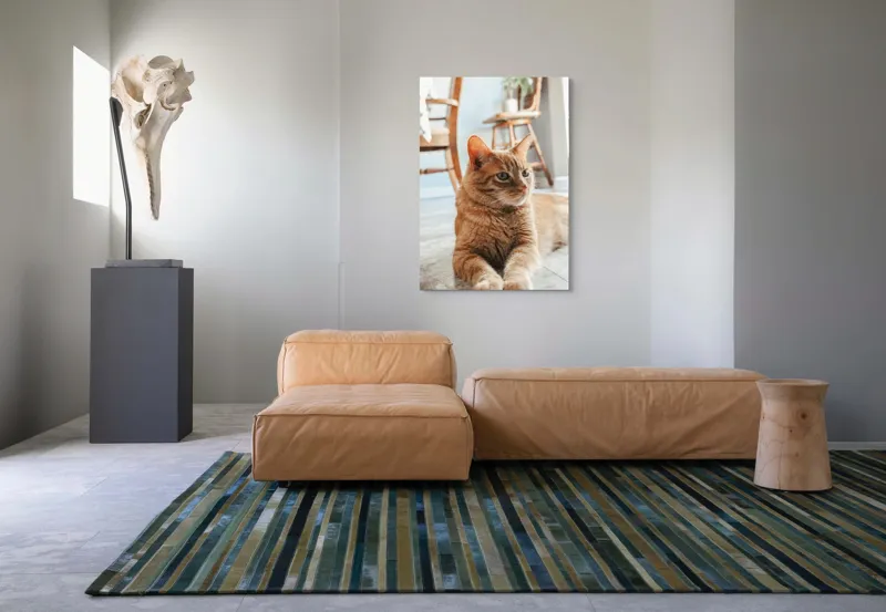 Tablou Canvas, "Pisica relaxată pe podea senină", Pisică, Portocalie, Ochi, Blană, Mobila, Pardoseală, Plante., 70 x 100 cm – poza 7