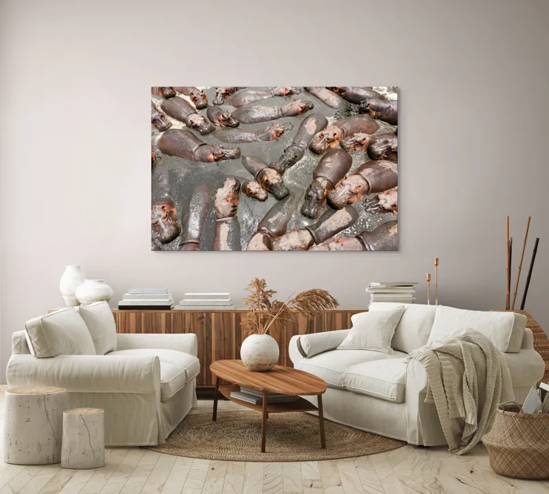 Tablou Canvas, "Colonie de hipopotami în noroiul râului", Hipopotami, Apă, Odihnă, Grămadă, Relaxare, Natură, Căldură, Grup, Faună, Parc, 150 x 100 cm – poza 3