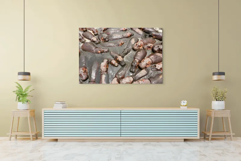 Tablou Canvas, "Colonie de hipopotami în noroiul râului", Hipopotami, Apă, Odihnă, Grămadă, Relaxare, Natură, Căldură, Grup, Faună, Parc, 150 x 100 cm – poza 6