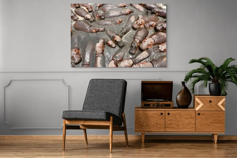 Tablou Canvas, "Colonie de hipopotami în noroiul râului", Hipopotami, Apă, Odihnă, Grămadă, Relaxare, Natură, Căldură, Grup, Faună, Parc, 150 x 100 cm – poza 8