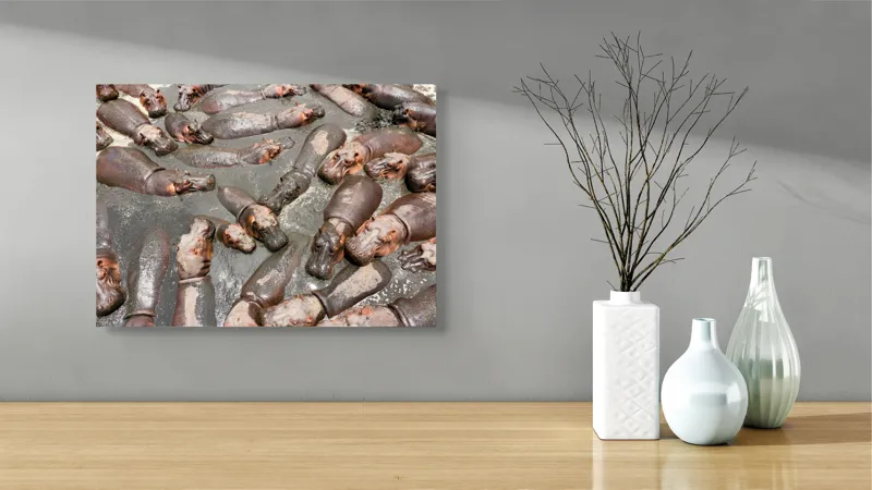 Tablou Canvas, "Colonie de hipopotami în noroiul râului", Hipopotami, Apă, Odihnă, Grămadă, Relaxare, Natură, Căldură, Grup, Faună, Parc, 54 x 39 cm – poza 3