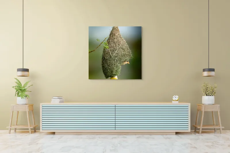 Tablou Canvas, "Minunata locuință a țesătorului curios", Cuib, Pasăre, Natură, Copac, Ramură, Verde, Joc, Echilibru, Grijă, Artă., 100 x 100 cm – poza 5