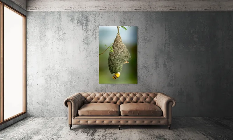 Tablou Canvas, "Minunata locuință a țesătorului curios", Cuib, Pasăre, Natură, Copac, Ramură, Verde, Joc, Echilibru, Grijă, Artă., 100 x 150 cm – poza 6