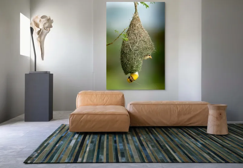 Tablou Canvas, "Minunata locuință a țesătorului curios", Cuib, Pasăre, Natură, Copac, Ramură, Verde, Joc, Echilibru, Grijă, Artă., 100 x 150 cm – poza 7