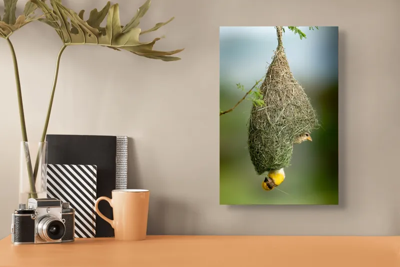 Tablou Canvas, "Minunata locuință a țesătorului curios", Cuib, Pasăre, Natură, Copac, Ramură, Verde, Joc, Echilibru, Grijă, Artă., 26 x 39 cm – poza 3