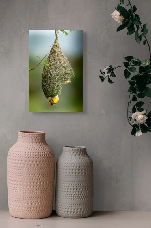 Tablou Canvas, "Minunata locuință a țesătorului curios", Cuib, Pasăre, Natură, Copac, Ramură, Verde, Joc, Echilibru, Grijă, Artă., 26 x 39 cm – poza 6