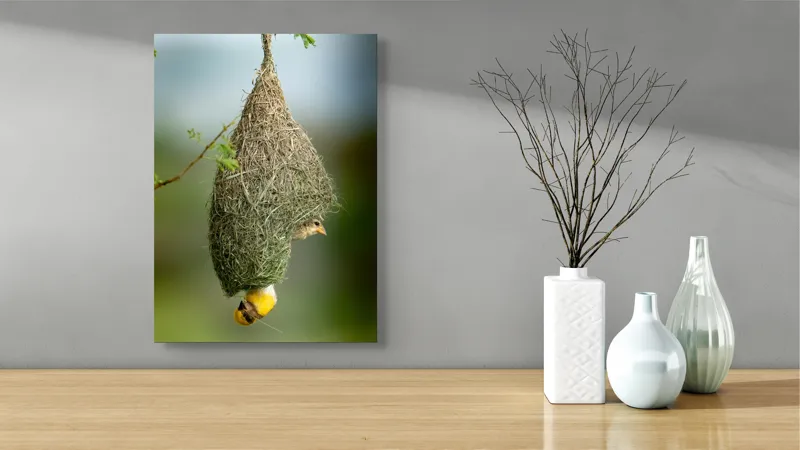 Tablou Canvas, "Minunata locuință a țesătorului curios", Cuib, Pasăre, Natură, Copac, Ramură, Verde, Joc, Echilibru, Grijă, Artă., 39 x 54 cm – poza 4