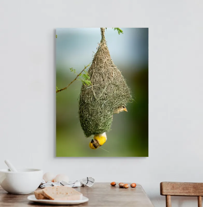 Tablou Canvas, "Minunata locuință a țesătorului curios", Cuib, Pasăre, Natură, Copac, Ramură, Verde, Joc, Echilibru, Grijă, Artă., 50 x 70 cm – poza 3