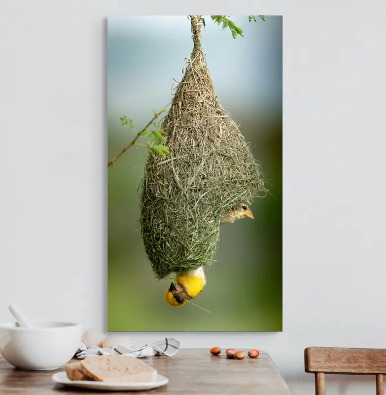 Tablou Canvas, "Minunata locuință a țesătorului curios", Cuib, Pasăre, Natură, Copac, Ramură, Verde, Joc, Echilibru, Grijă, Artă., 50 x 90 cm – poza 3