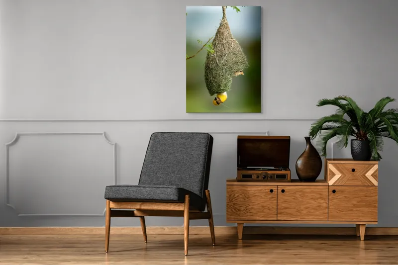 Tablou Canvas, "Minunata locuință a țesătorului curios", Cuib, Pasăre, Natură, Copac, Ramură, Verde, Joc, Echilibru, Grijă, Artă., 70 x 100 cm – poza 6