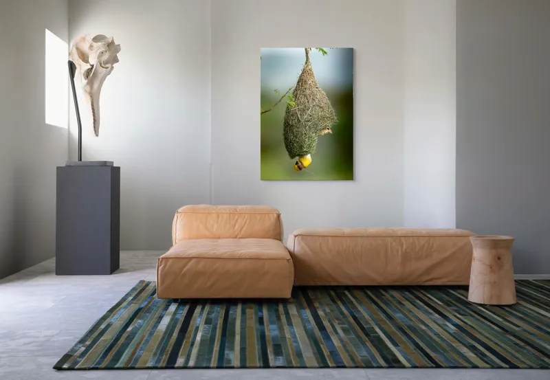 Tablou Canvas, "Minunata locuință a țesătorului curios", Cuib, Pasăre, Natură, Copac, Ramură, Verde, Joc, Echilibru, Grijă, Artă., 70 x 100 cm – poza 7