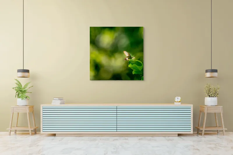 Tablou Canvas, "Fluture pe frunzele verzi scăldate de soare", Fluture, Frunze, Lumină, Verde, Natură, Bokeh, Aripi, Fragilitate, 100 x 100 cm – poza 5