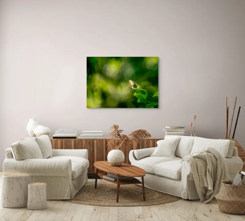 Tablou Canvas, "Fluture pe frunzele verzi scăldate de soare", Fluture, Frunze, Lumină, Verde, Natură, Bokeh, Aripi, Fragilitate, 100 x 70 cm – poza 3