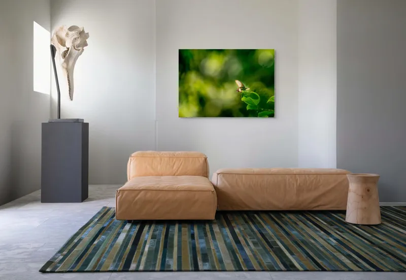 Tablou Canvas, "Fluture pe frunzele verzi scăldate de soare", Fluture, Frunze, Lumină, Verde, Natură, Bokeh, Aripi, Fragilitate, 100 x 70 cm – poza 7