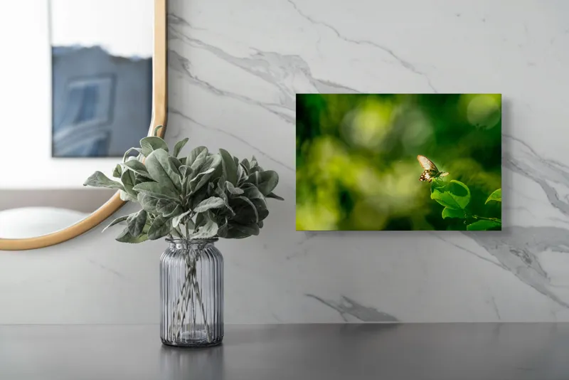 Tablou Canvas, "Fluture pe frunzele verzi scăldate de soare", Fluture, Frunze, Lumină, Verde, Natură, Bokeh, Aripi, Fragilitate, 39 x 26 cm – poza 5
