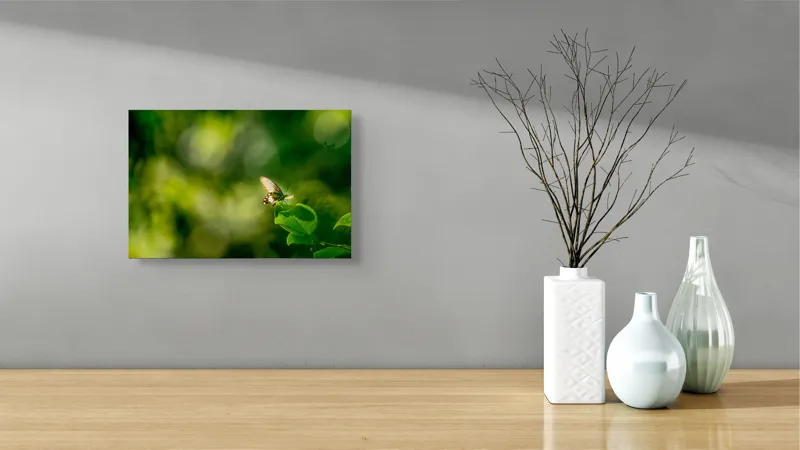 Tablou Canvas, "Fluture pe frunzele verzi scăldate de soare", Fluture, Frunze, Lumină, Verde, Natură, Bokeh, Aripi, Fragilitate, 39 x 26 cm – poza 8