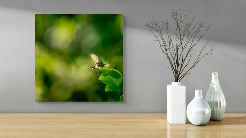 Tablou Canvas, "Fluture pe frunzele verzi scăldate de soare", Fluture, Frunze, Lumină, Verde, Natură, Bokeh, Aripi, Fragilitate, 50 x 50 cm – poza 3