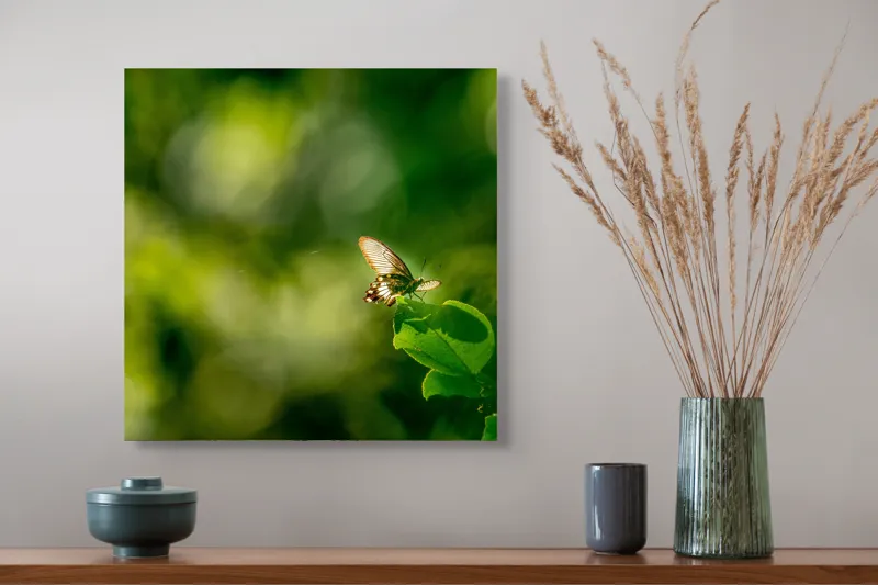 Tablou Canvas, "Fluture pe frunzele verzi scăldate de soare", Fluture, Frunze, Lumină, Verde, Natură, Bokeh, Aripi, Fragilitate, 50 x 50 cm – poza 4