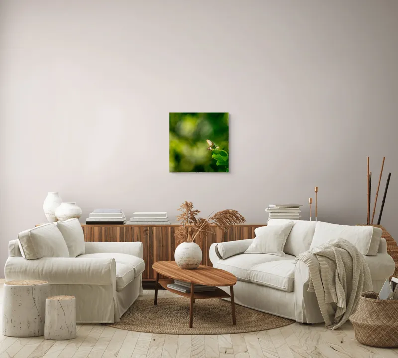 Tablou Canvas, "Fluture pe frunzele verzi scăldate de soare", Fluture, Frunze, Lumină, Verde, Natură, Bokeh, Aripi, Fragilitate, 50 x 50 cm – poza 7