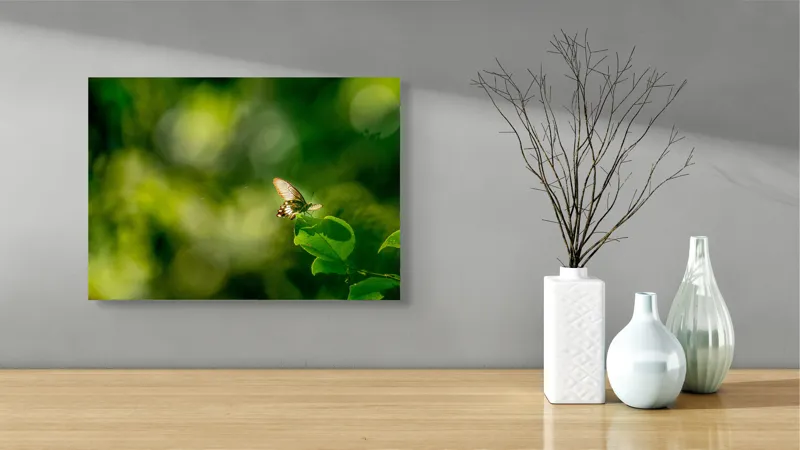 Tablou Canvas, "Fluture pe frunzele verzi scăldate de soare", Fluture, Frunze, Lumină, Verde, Natură, Bokeh, Aripi, Fragilitate, 54 x 39 cm – poza 3