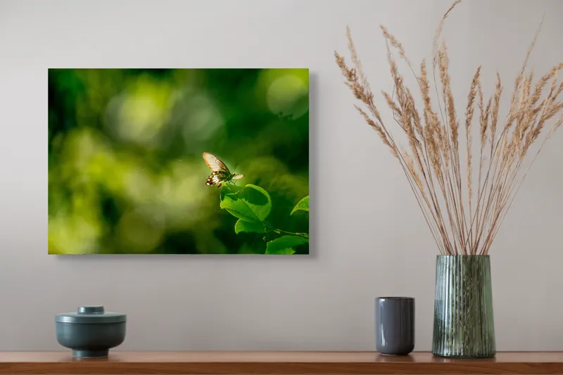 Tablou Canvas, "Fluture pe frunzele verzi scăldate de soare", Fluture, Frunze, Lumină, Verde, Natură, Bokeh, Aripi, Fragilitate, 54 x 39 cm – poza 4