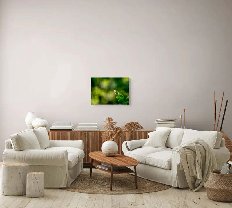 Tablou Canvas, "Fluture pe frunzele verzi scăldate de soare", Fluture, Frunze, Lumină, Verde, Natură, Bokeh, Aripi, Fragilitate, 54 x 39 cm – poza 5