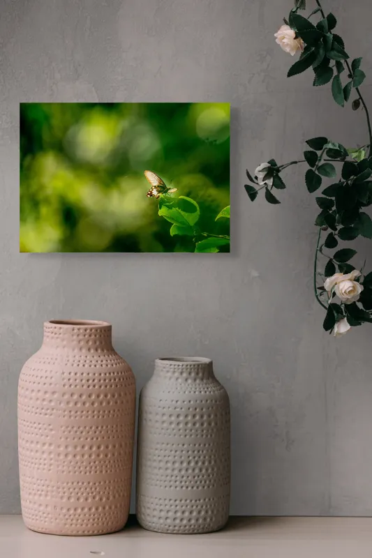 Tablou Canvas, "Fluture pe frunzele verzi scăldate de soare", Fluture, Frunze, Lumină, Verde, Natură, Bokeh, Aripi, Fragilitate, 54 x 39 cm – poza 8