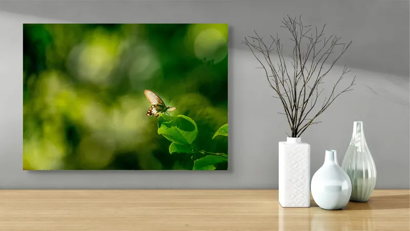 Tablou Canvas, "Fluture pe frunzele verzi scăldate de soare", Fluture, Frunze, Lumină, Verde, Natură, Bokeh, Aripi, Fragilitate, 70 x 50 cm – poza 3