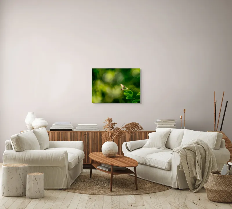 Tablou Canvas, "Fluture pe frunzele verzi scăldate de soare", Fluture, Frunze, Lumină, Verde, Natură, Bokeh, Aripi, Fragilitate, 70 x 50 cm – poza 6