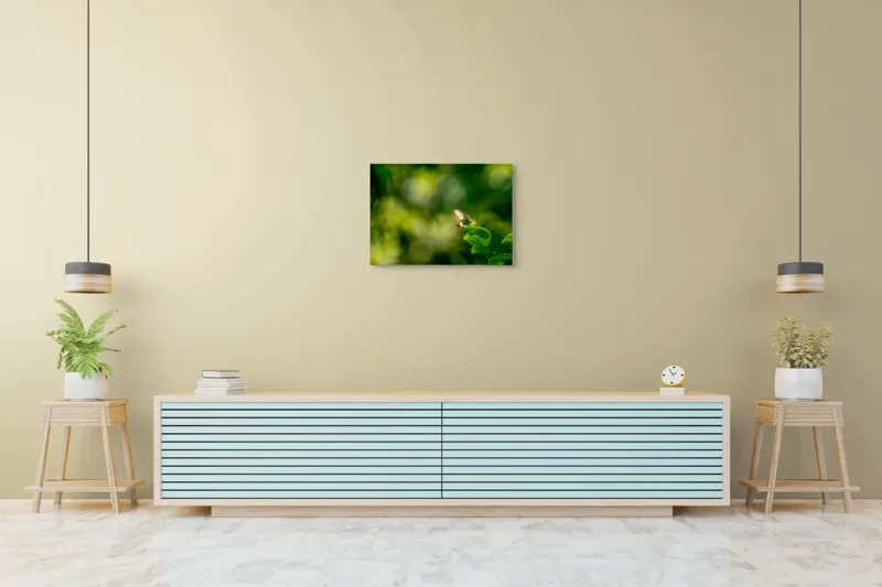 Tablou Canvas, "Fluture pe frunzele verzi scăldate de soare", Fluture, Frunze, Lumină, Verde, Natură, Bokeh, Aripi, Fragilitate, 70 x 50 cm – poza 7