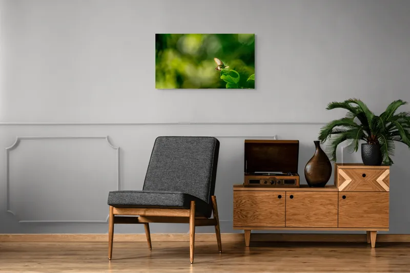 Tablou Canvas, "Fluture pe frunzele verzi scăldate de soare", Fluture, Frunze, Lumină, Verde, Natură, Bokeh, Aripi, Fragilitate, 90 x 50 cm – poza 6