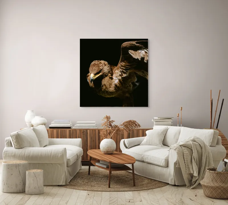 Tablou Canvas, "Vultur în zbor majestuos spre cer", Vultur, Aripi, Penaj, Contrast, Majestuos, Întuneric, Lupător, Zbor, Forță, Pradă, 100 x 100 cm – poza 3