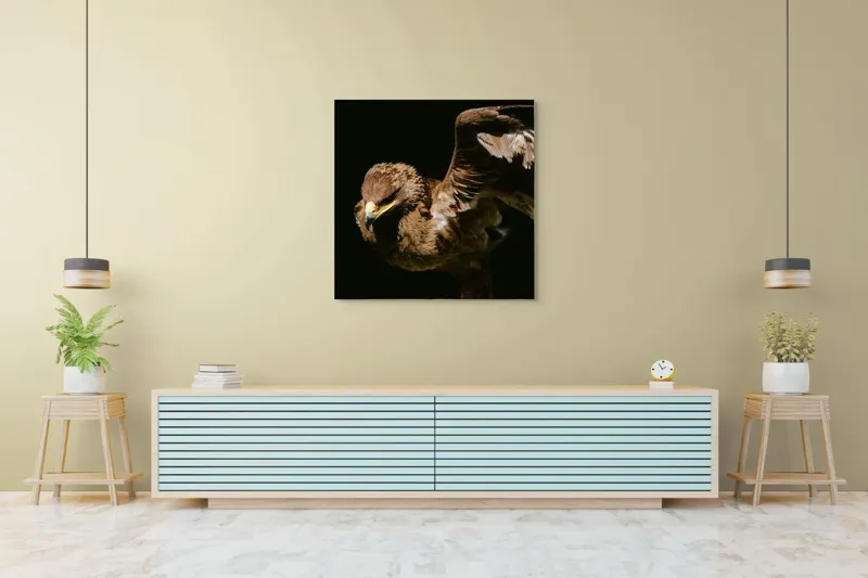 Tablou Canvas, "Vultur în zbor majestuos spre cer", Vultur, Aripi, Penaj, Contrast, Majestuos, Întuneric, Lupător, Zbor, Forță, Pradă, 100 x 100 cm – poza 5
