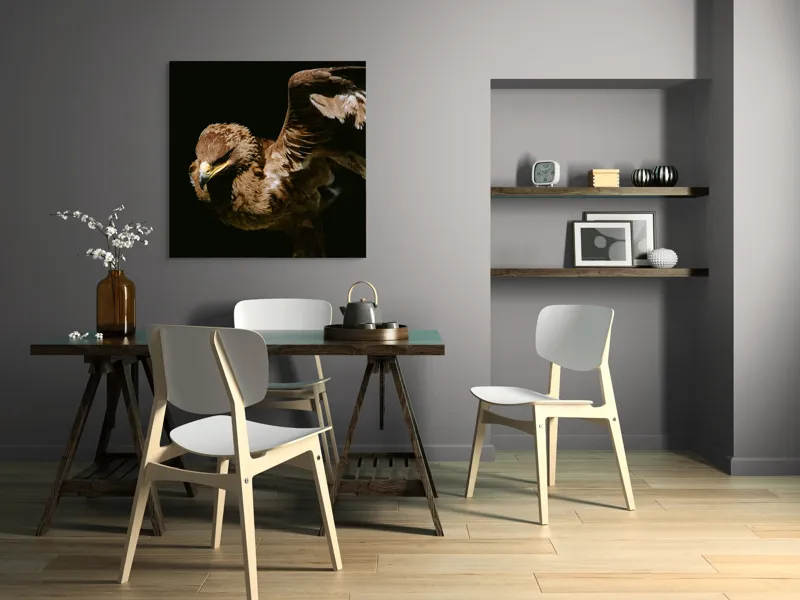 Tablou Canvas, "Vultur în zbor majestuos spre cer", Vultur, Aripi, Penaj, Contrast, Majestuos, Întuneric, Lupător, Zbor, Forță, Pradă, 100 x 100 cm – poza 6