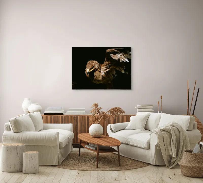 Tablou Canvas, "Vultur în zbor majestuos spre cer", Vultur, Aripi, Penaj, Contrast, Majestuos, Întuneric, Lupător, Zbor, Forță, Pradă, 100 x 70 cm – poza 3