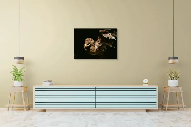 Tablou Canvas, "Vultur în zbor majestuos spre cer", Vultur, Aripi, Penaj, Contrast, Majestuos, Întuneric, Lupător, Zbor, Forță, Pradă, 100 x 70 cm – poza 4