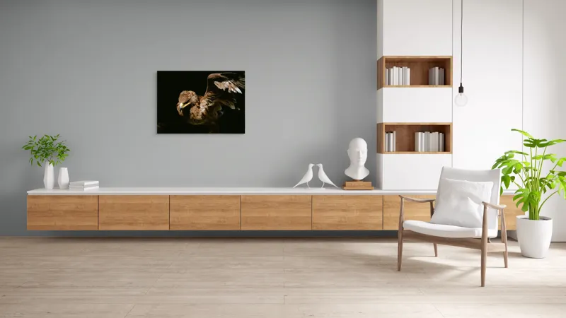 Tablou Canvas, "Vultur în zbor majestuos spre cer", Vultur, Aripi, Penaj, Contrast, Majestuos, Întuneric, Lupător, Zbor, Forță, Pradă, 100 x 70 cm – poza 6