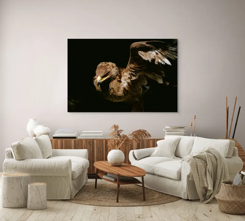 Tablou Canvas, "Vultur în zbor majestuos spre cer", Vultur, Aripi, Penaj, Contrast, Majestuos, Întuneric, Lupător, Zbor, Forță, Pradă, 150 x 100 cm – poza 3