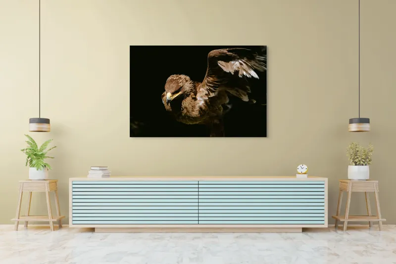 Tablou Canvas, "Vultur în zbor majestuos spre cer", Vultur, Aripi, Penaj, Contrast, Majestuos, Întuneric, Lupător, Zbor, Forță, Pradă, 150 x 100 cm – poza 6