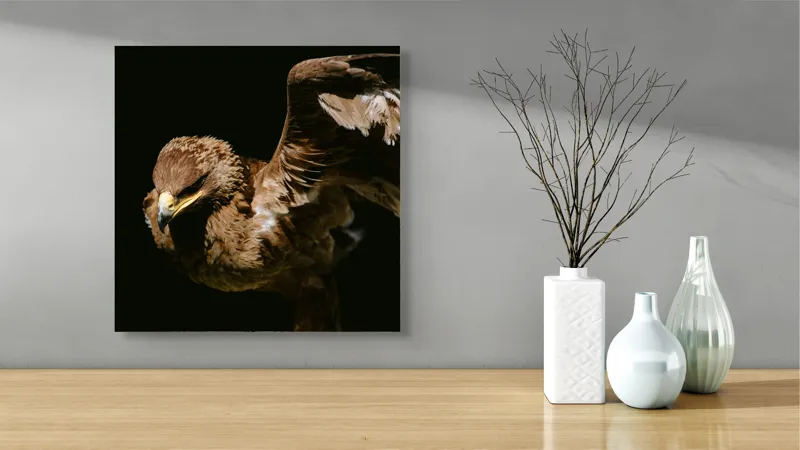 Tablou Canvas, "Vultur în zbor majestuos spre cer", Vultur, Aripi, Penaj, Contrast, Majestuos, Întuneric, Lupător, Zbor, Forță, Pradă, 50 x 50 cm – poza 3
