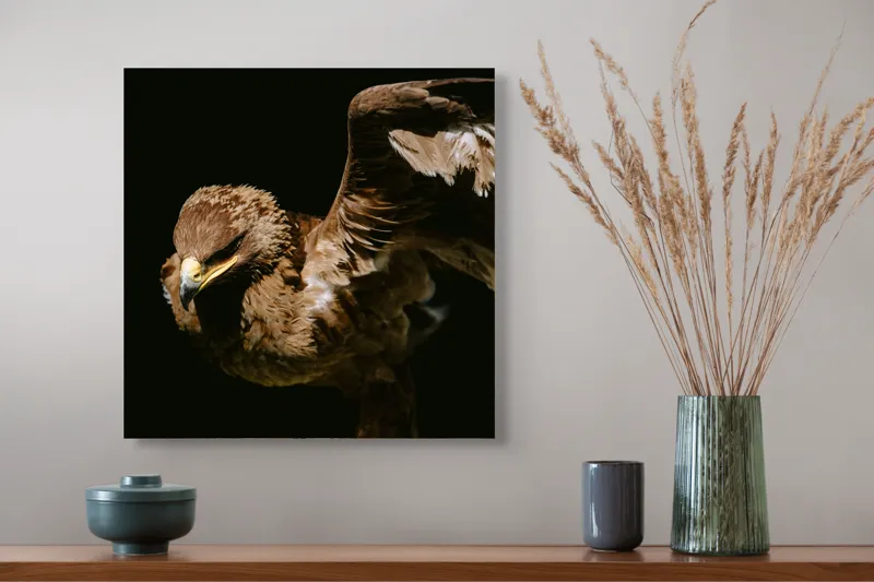 Tablou Canvas, "Vultur în zbor majestuos spre cer", Vultur, Aripi, Penaj, Contrast, Majestuos, Întuneric, Lupător, Zbor, Forță, Pradă, 50 x 50 cm – poza 4