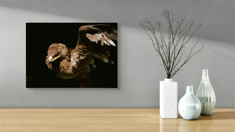 Tablou Canvas, "Vultur în zbor majestuos spre cer", Vultur, Aripi, Penaj, Contrast, Majestuos, Întuneric, Lupător, Zbor, Forță, Pradă, 54 x 39 cm – poza 3