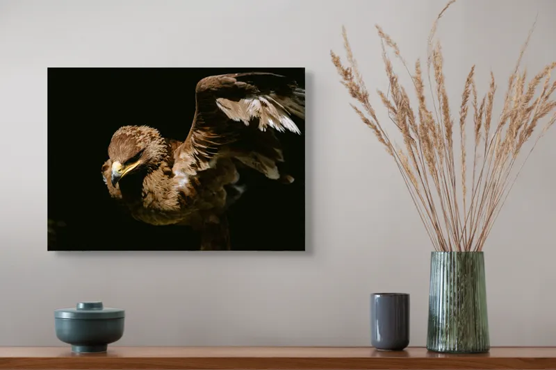 Tablou Canvas, "Vultur în zbor majestuos spre cer", Vultur, Aripi, Penaj, Contrast, Majestuos, Întuneric, Lupător, Zbor, Forță, Pradă, 54 x 39 cm – poza 4