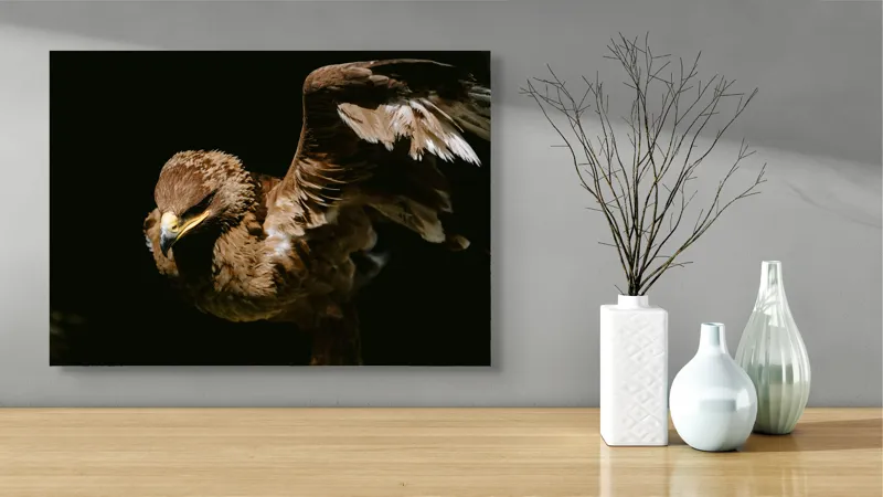Tablou Canvas, "Vultur în zbor majestuos spre cer", Vultur, Aripi, Penaj, Contrast, Majestuos, Întuneric, Lupător, Zbor, Forță, Pradă, 70 x 50 cm – poza 3