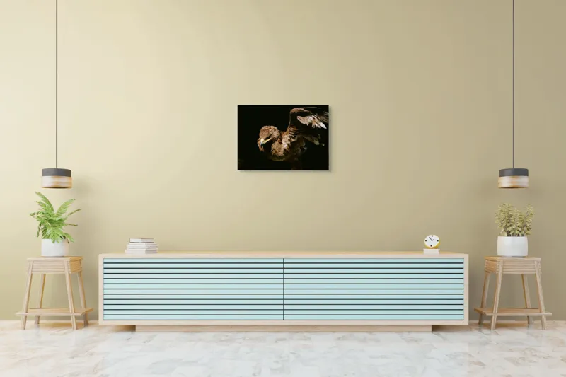 Tablou Canvas, "Vultur în zbor majestuos spre cer", Vultur, Aripi, Penaj, Contrast, Majestuos, Întuneric, Lupător, Zbor, Forță, Pradă, 70 x 50 cm – poza 7
