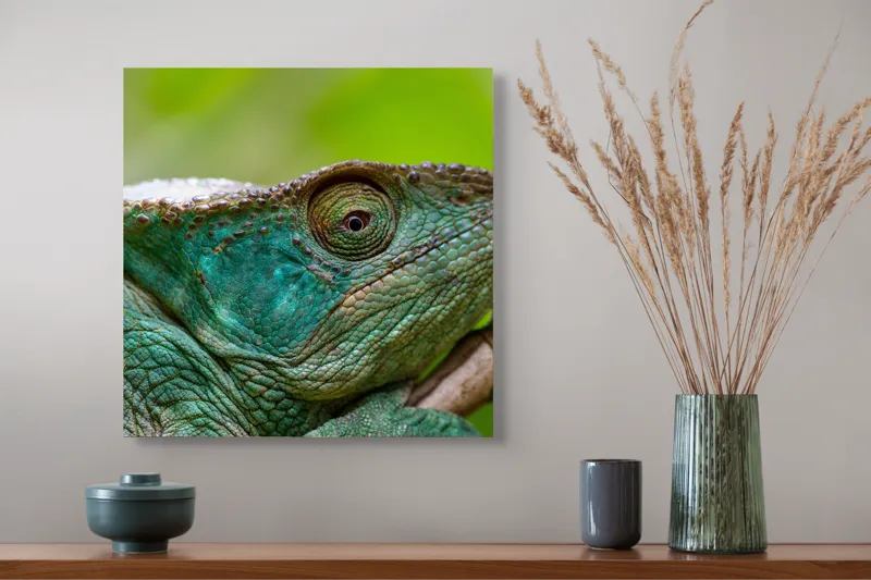 Tablou Canvas, "Cameleonul în culorile naturii vibrante", Schimbare, Culoare, Adaptabilitate, Natură, Detalii, Verde, Textură, Solzi, Obiectiv, Calm, Liniște, 50 x 50 cm – poza 4
